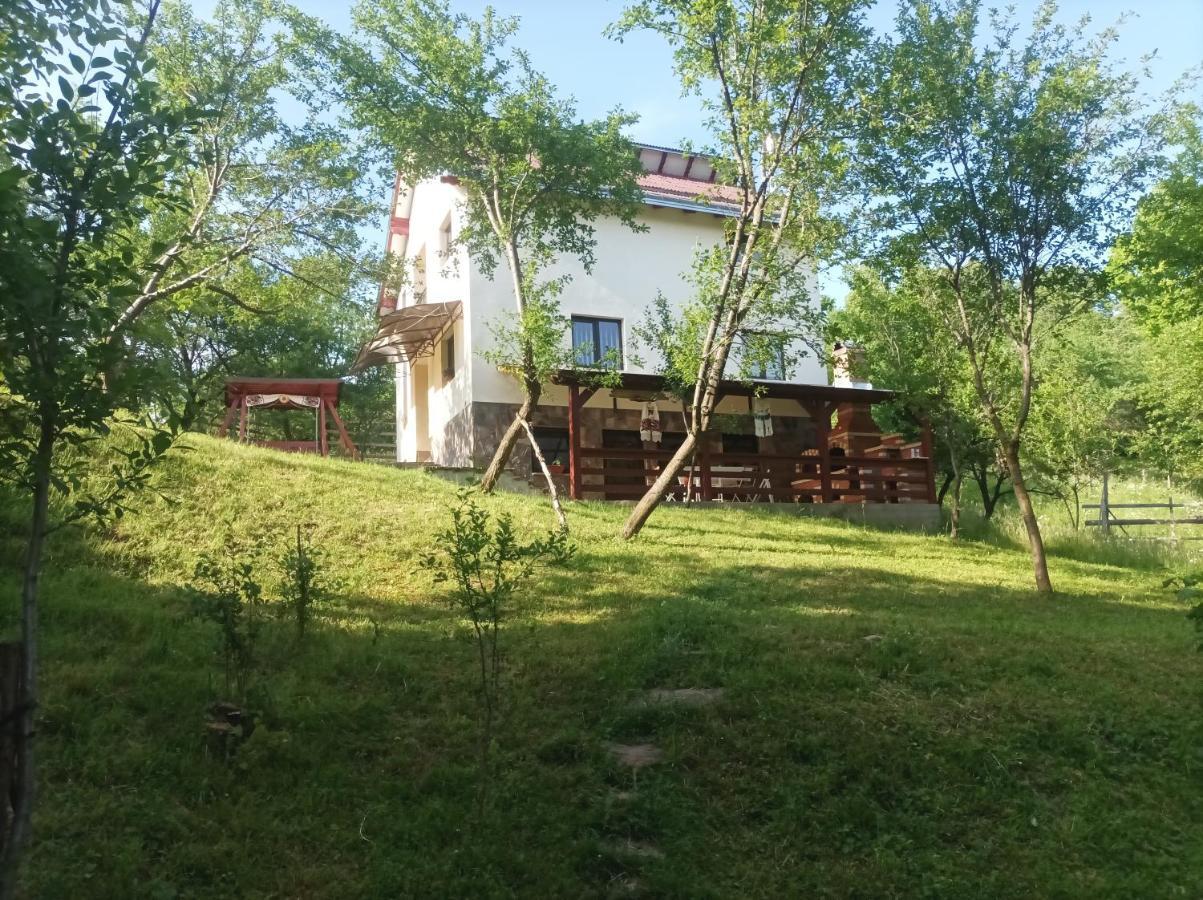 Villa Casa Flutar Moisei Exterior foto